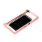 0.05 Easy Fan Lashes